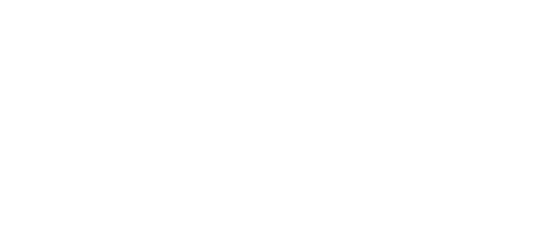 SyNet